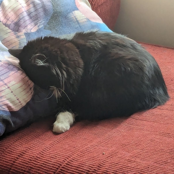 Other - That's my boy🥰